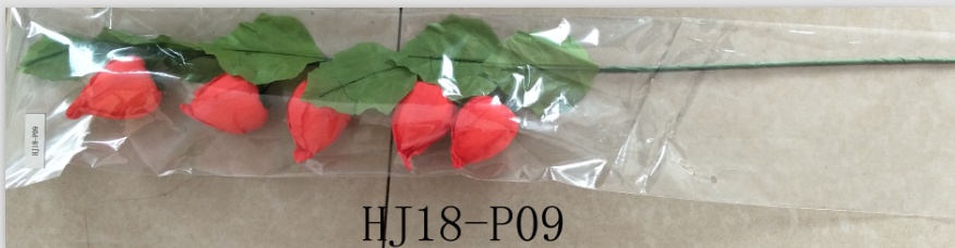 HJ18-P09.png